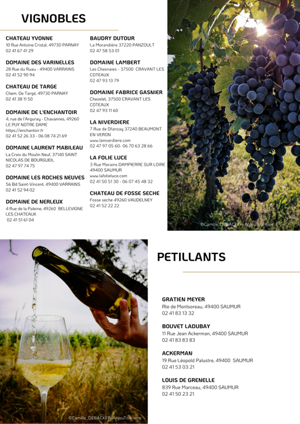 Vignobles